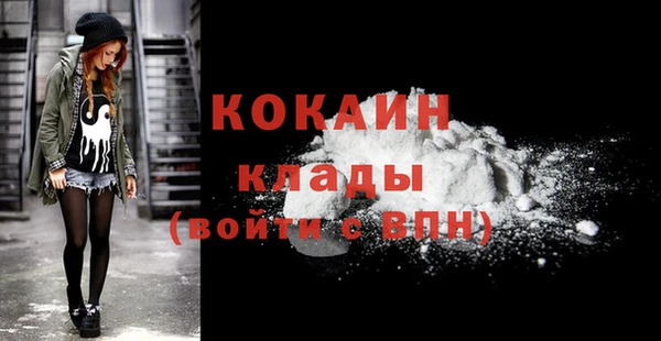 дживик Елизово