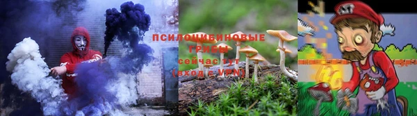 ECSTASY Дмитров