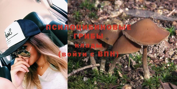 ECSTASY Дмитров