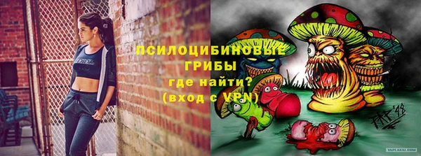 марки nbome Ельня