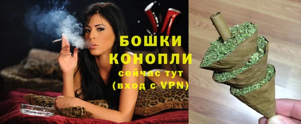 дживик Елизово