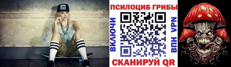 Псилоцибиновые грибы мицелий где продают наркотики kraken ссылки Южно-Сахалинск